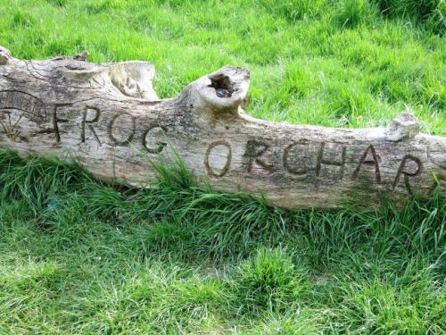 South Willesborough Frog Orchard-35-800-600-80